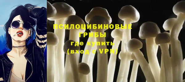гидропоника Верхний Тагил