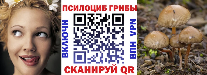 Галлюциногенные грибы мицелий  Вышний Волочёк 