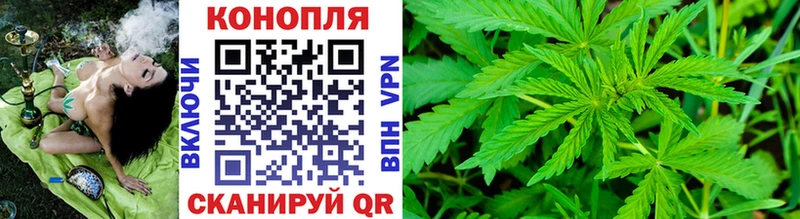 даркнет сайт  Вышний Волочёк  Шишки марихуана конопля 